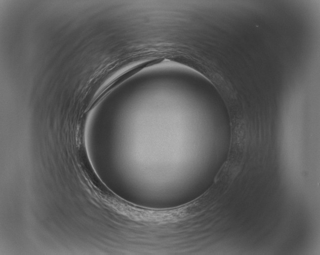 X0000086000031200703231157