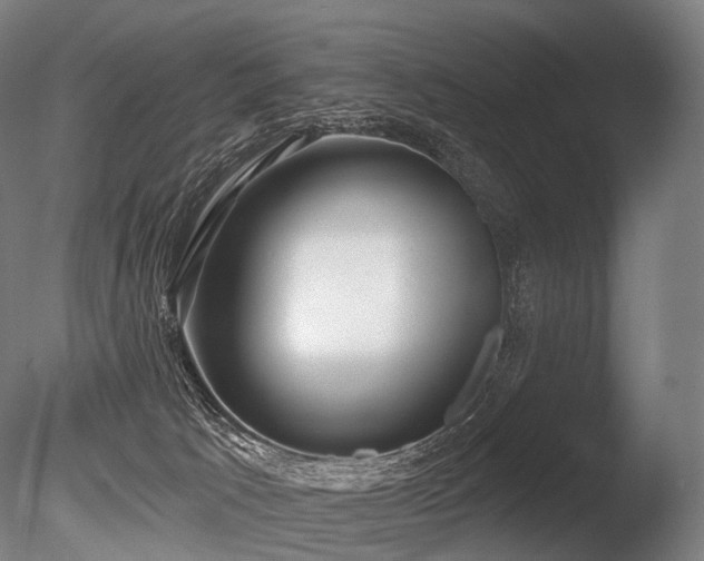 X0000086000033200703231157