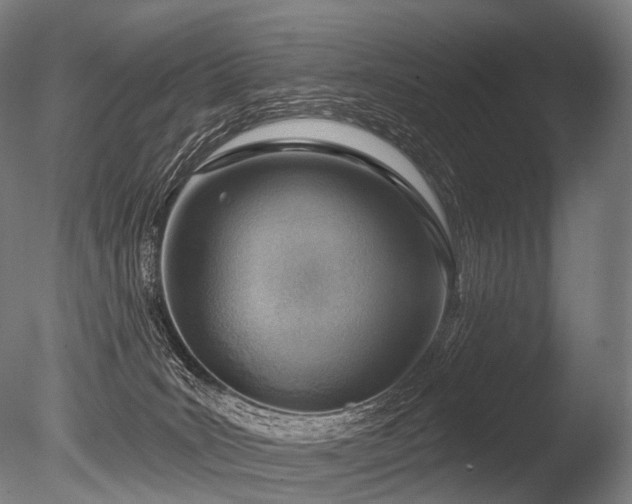 X0000086000035200703231157