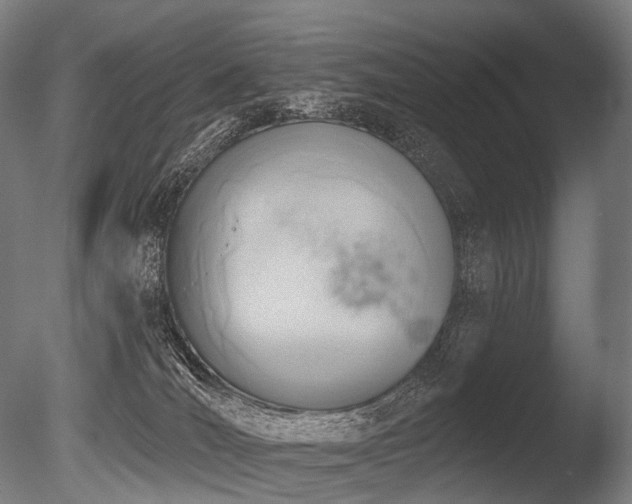 X0000086000036200703231157