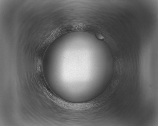 X0000086000038200703231157