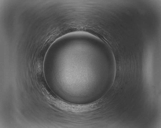 X0000086000039200703231157