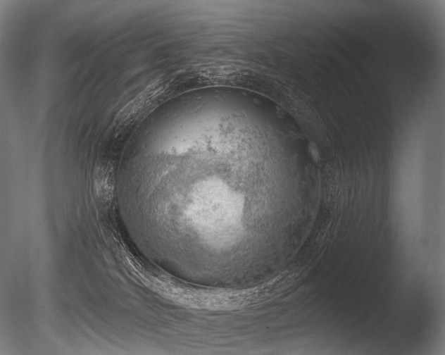 X0000086000040200703231157