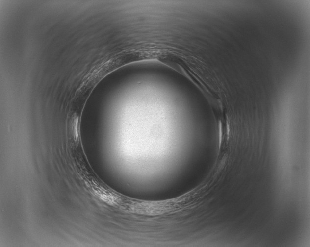 X0000086000041200703231157