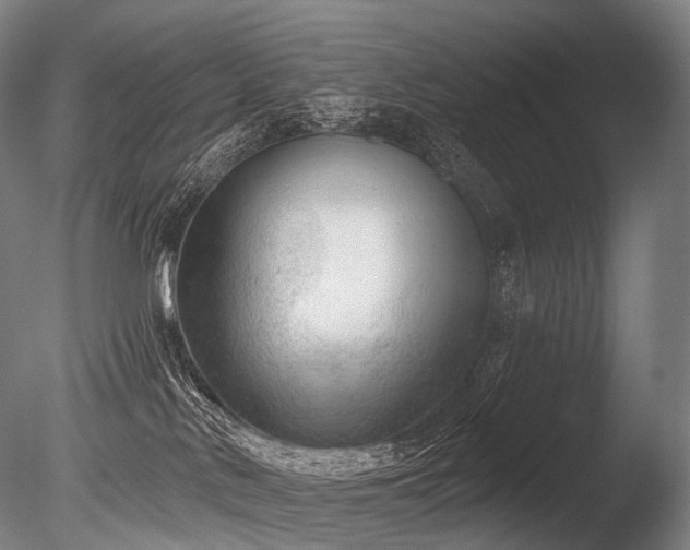 X0000086000042200703231157