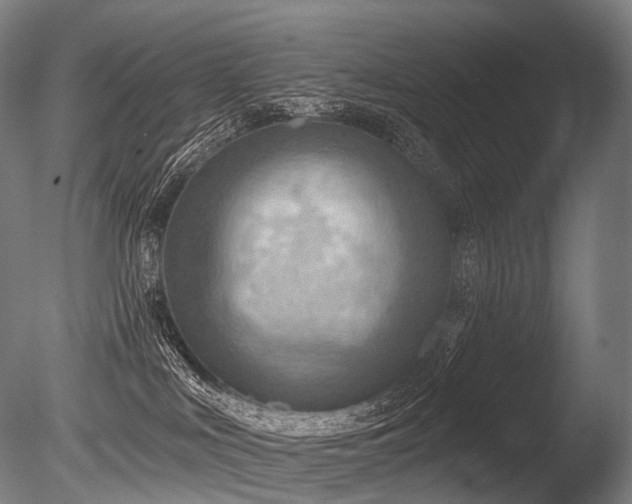 X0000086000043200703231157