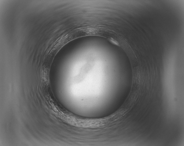 X0000086000044200703231157