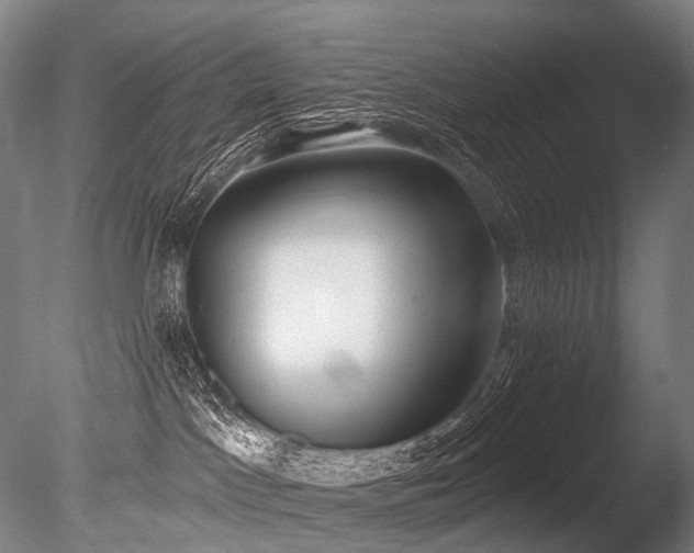 X0000086000045200703231157