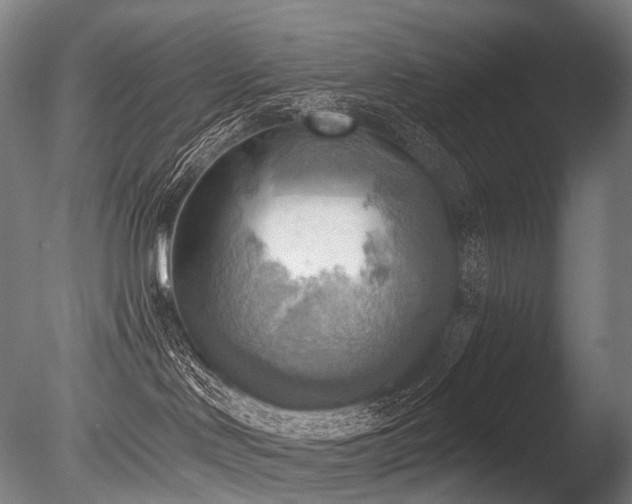 X0000086000046200703231156