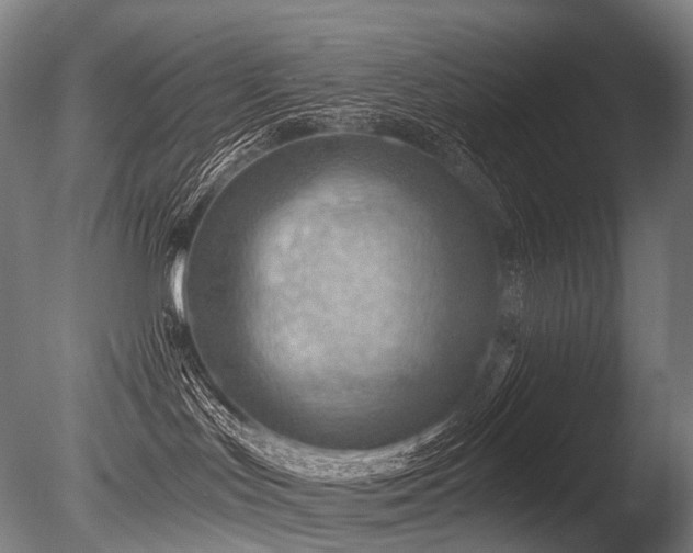 X0000086000047200703231156