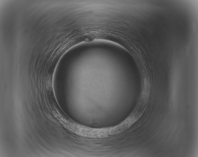 X0000086000048200703231156