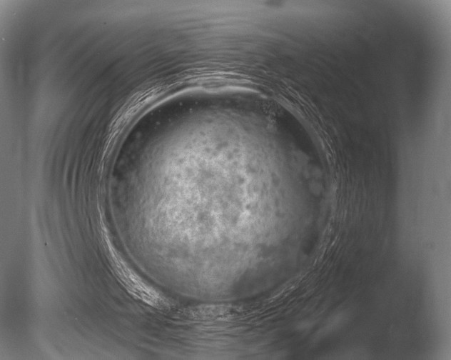 X0000086000049200703231156