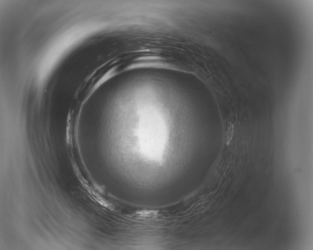 X0000086000052200703231156