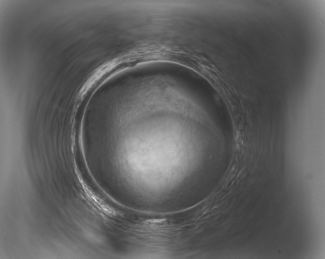 X0000086000054200703231156