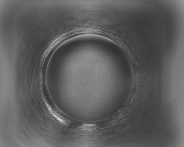 X0000086000055200703231156