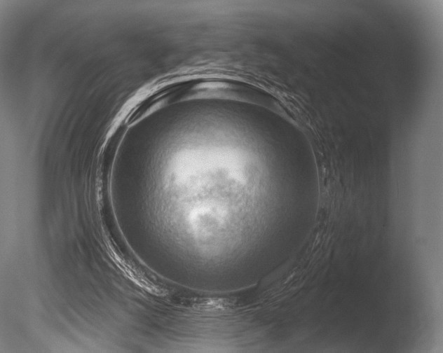 X0000086000056200703231156