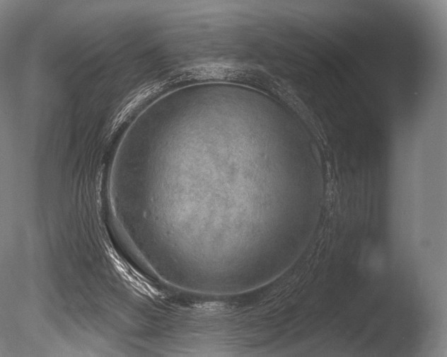 X0000086000058200703231156