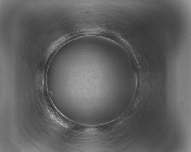 X0000086000059200703231156