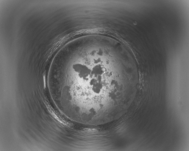 X0000086000061200703231156