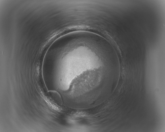 X0000086000063200703231156