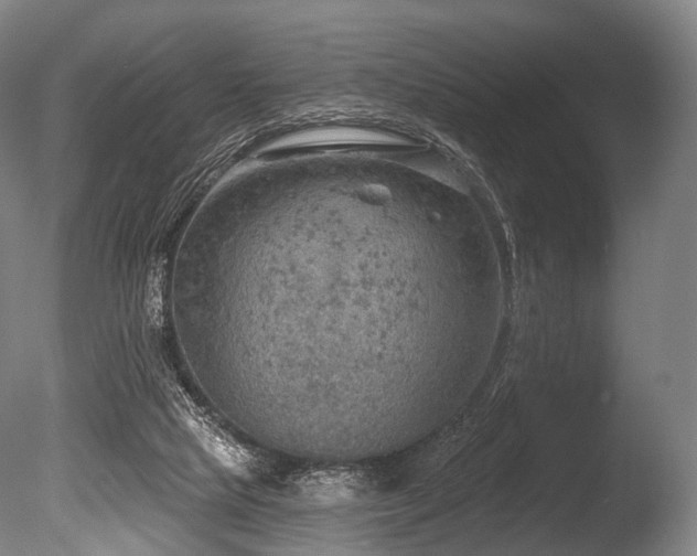 X0000086000065200703231156