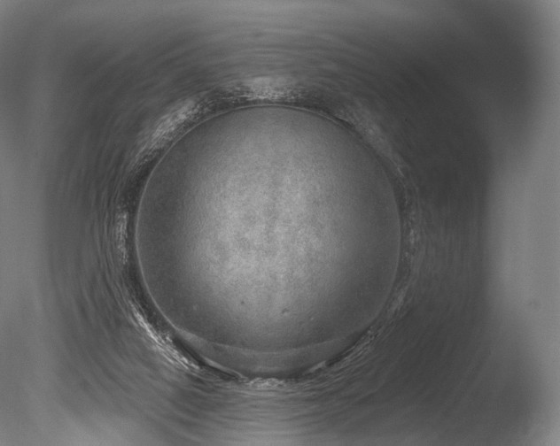 X0000086000066200703231156