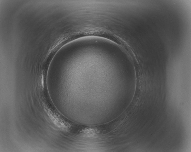 X0000086000067200703231156