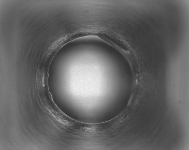 X0000086000068200703231156