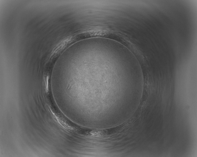 X0000086000070200703231156