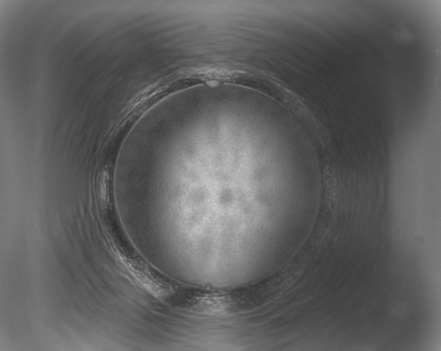 X0000086000071200703231156