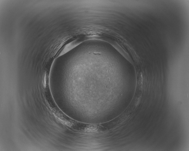 X0000086000076200703231156