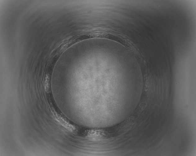 X0000086000077200703231156