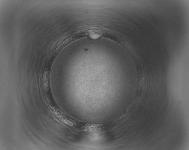 X0000086000078200703231156