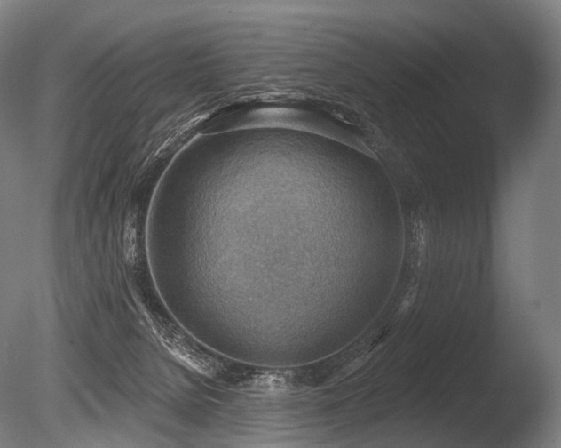 X0000086000080200703231156