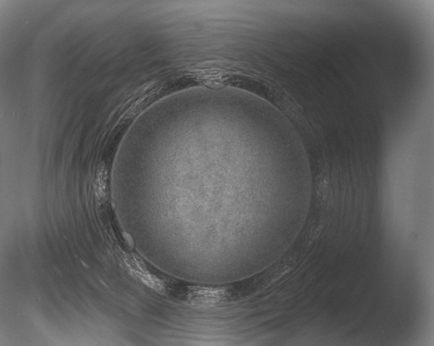 X0000086000081200703231156