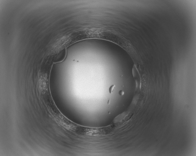 X0000086000083200703231156