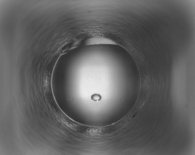 X0000086000084200703231156