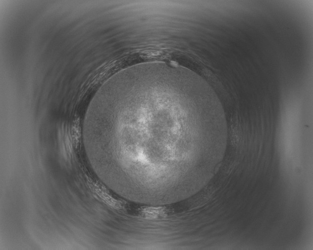 X0000086000085200703231156