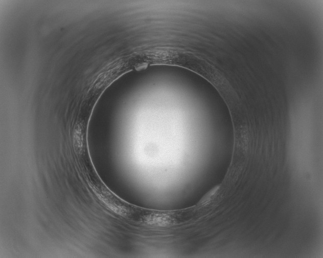 X0000086000086200703231156