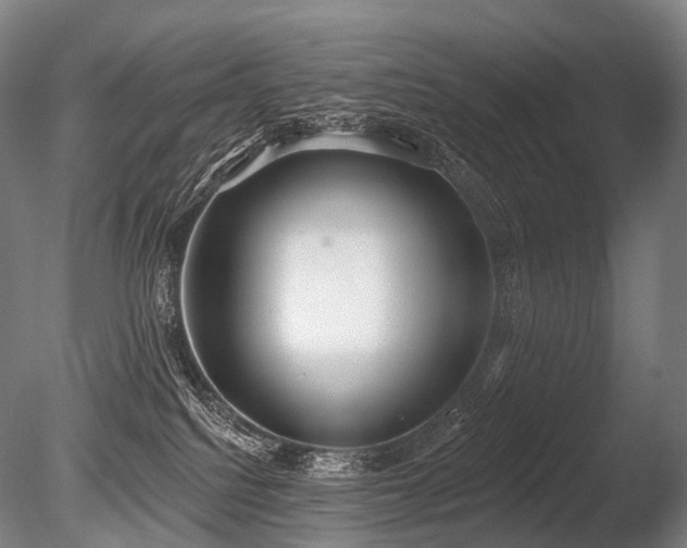 X0000086000088200703231156