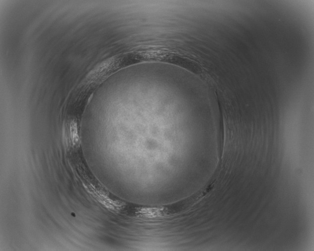 X0000086000089200703231156