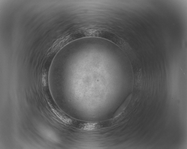 X0000086000090200703231156