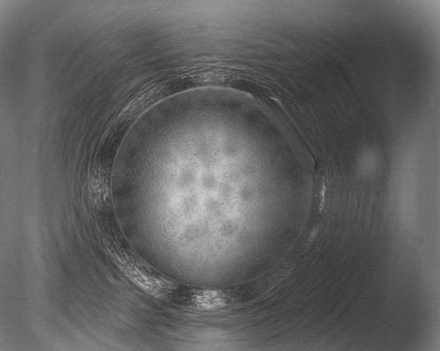 X0000086000091200703231156