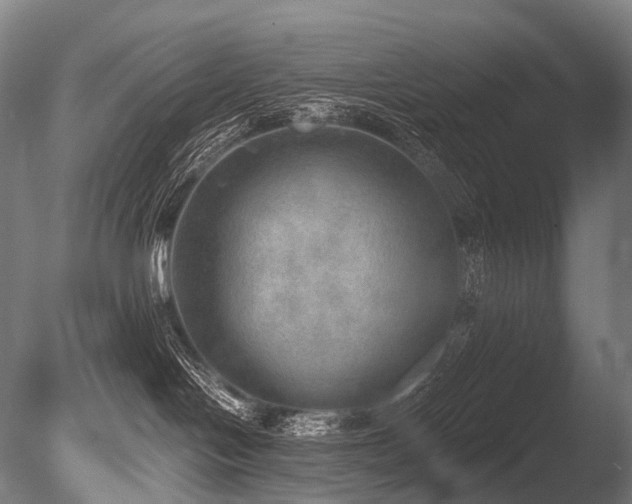 X0000086000094200703231156