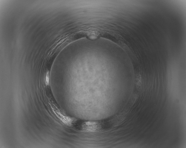 X0000086000095200703231156