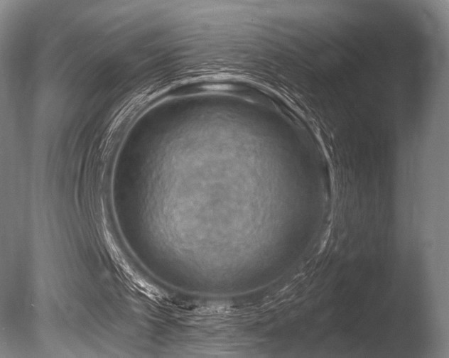 X0000086000097200703231156