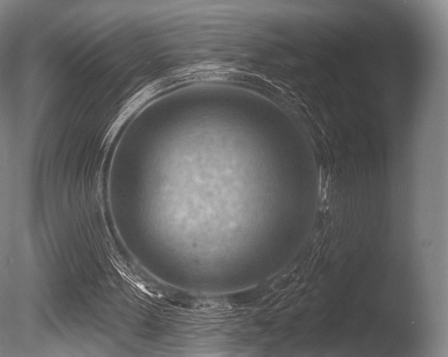 X0000086000099200703231156