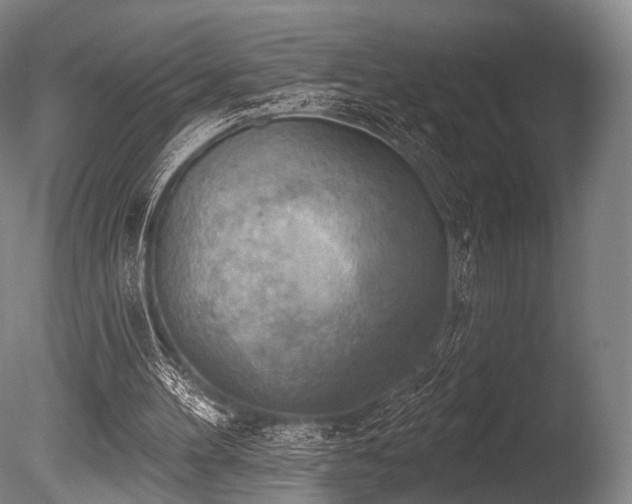 X0000086000100200703231156