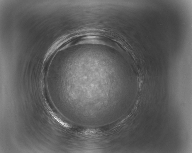 X0000086000101200703231156