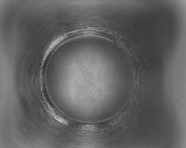 X0000086000102200703231156